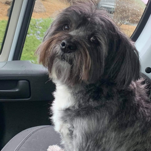 Pete Ruffler - Picture 5 of 5